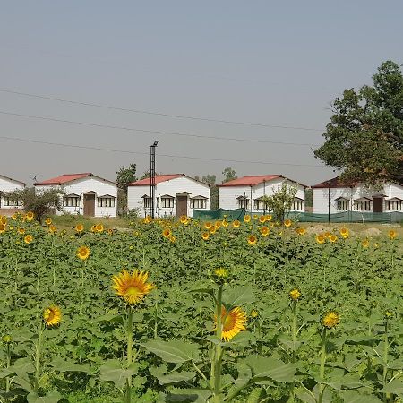 Living Green Farms Αλλαχαμπάντ Εξωτερικό φωτογραφία